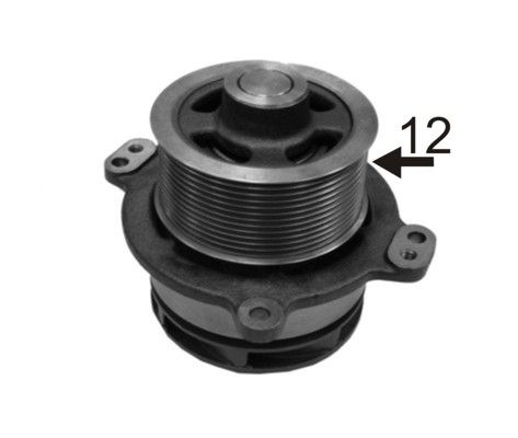 AIRTEX 1927 Water Pump, engine cooling