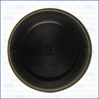 AJUSA 01053600 Locking Cover, camshaft