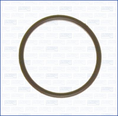 Gasket, intake manifold AJUSA 13125600