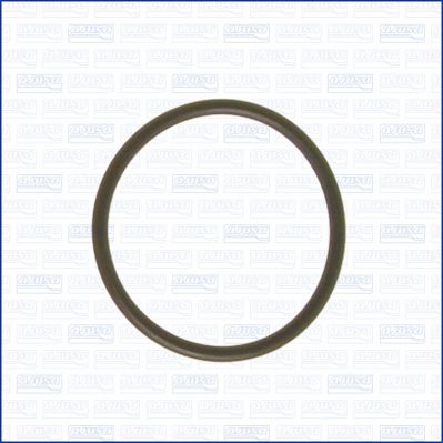 Gasket, coolant flange AJUSA 16024400
