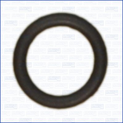 Gasket, vacuum pump AJUSA 16096000