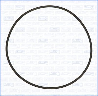 Gasket, vacuum pump AJUSA 16096100
