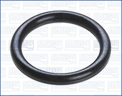 Seal, oil dipstick AJUSA 16564700