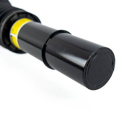 Air Suspension Strut Arnott AS-5163