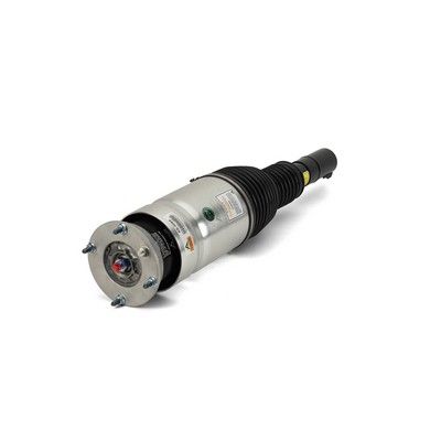 Arnott AS-3069 Air Suspension Strut