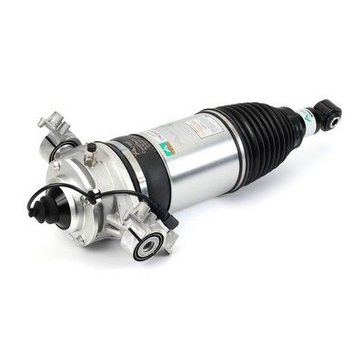 Air Suspension Strut Arnott AS-3166