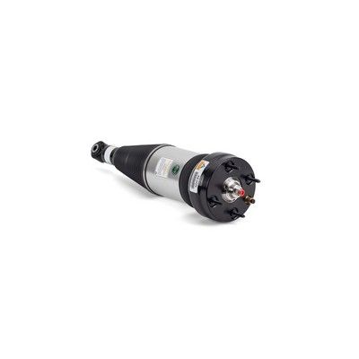 Air Suspension Strut Arnott AS-3234