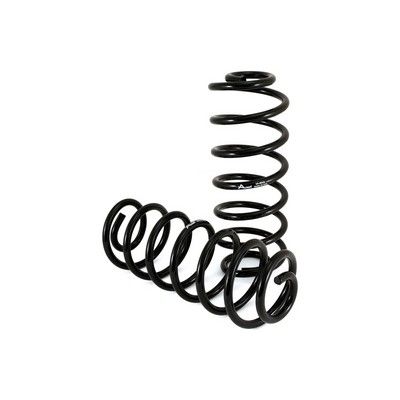 Suspension Set, springs Arnott C-2137