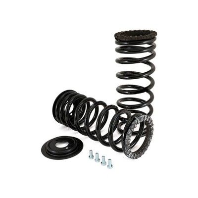 Suspension Set, springs Arnott C-2203