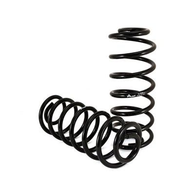 Suspension Set, springs Arnott C-2285