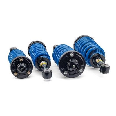 Suspension Kit, springs/shock absorbers Arnott C-2293