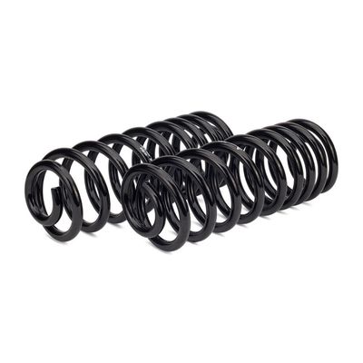 Suspension Set, springs Arnott C-2987