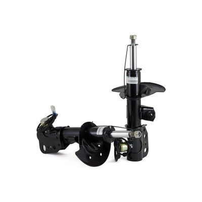 Shock Absorber Arnott SK-2176