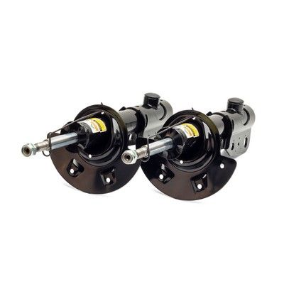 Shock Absorber Arnott SK-2189