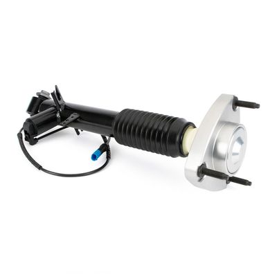 Shock Absorber Arnott SK-3816