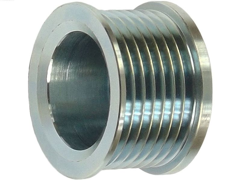 AS-PL AP0045 Belt Pulley, alternator