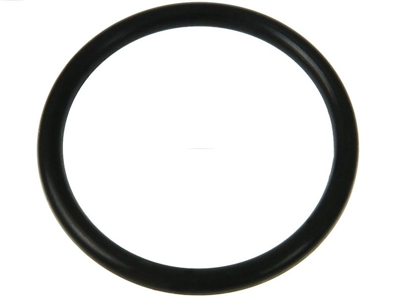 AS-PL ARS2043S Repair Set, alternator