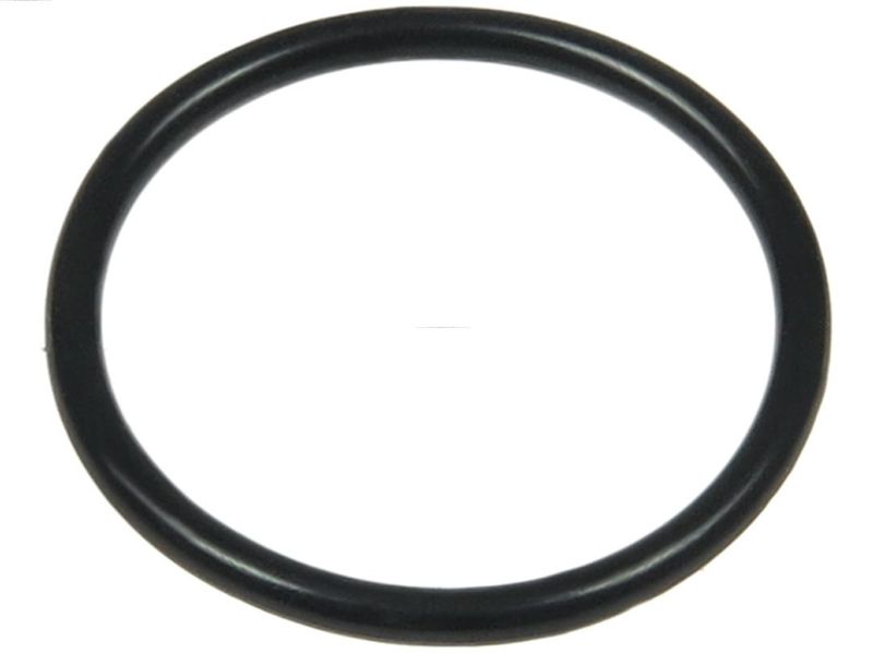 AS-PL ARS2044S Repair Set, alternator