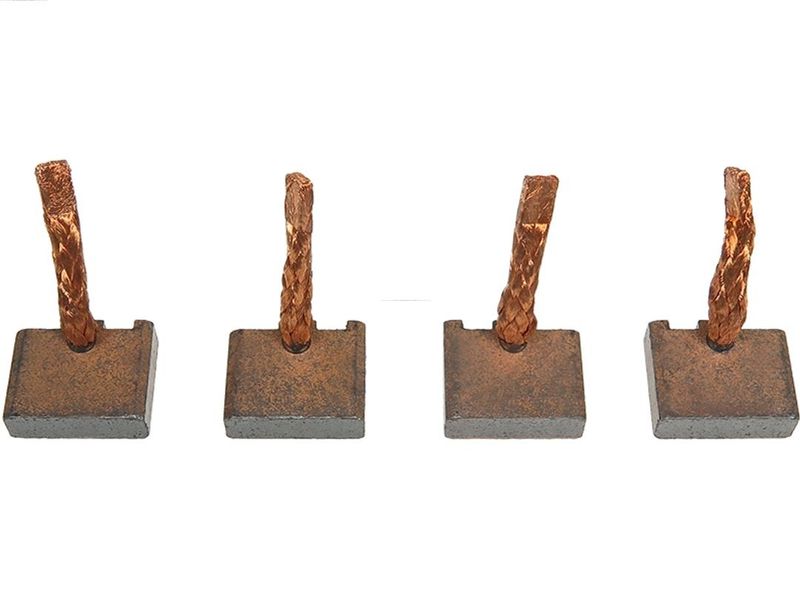 AS-PL BSX220-221 Carbon Brush, starter