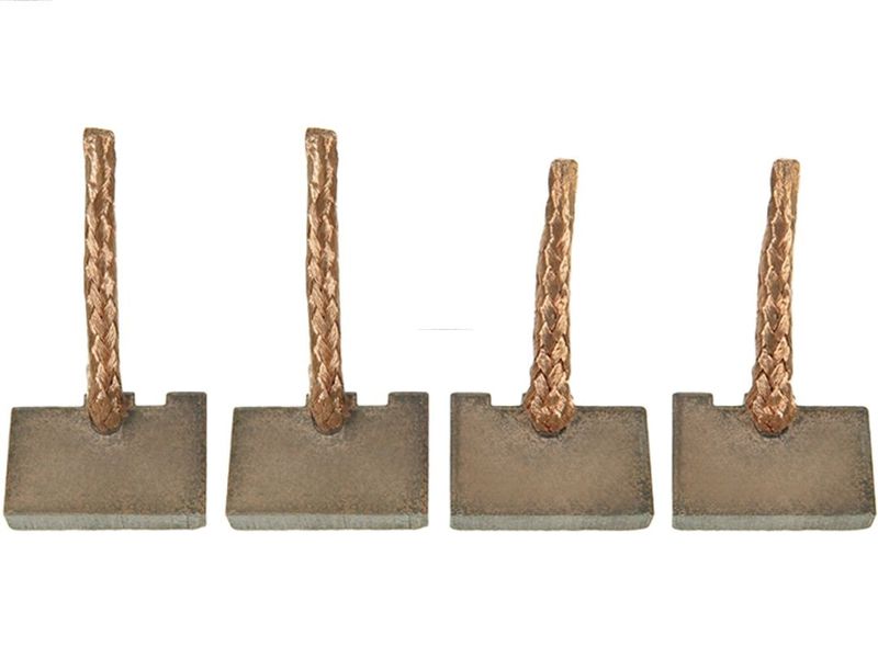 AS-PL SB0010S Carbon Brush, starter