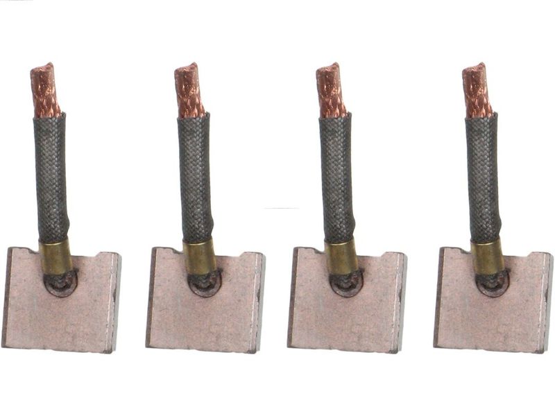 AS-PL SB5008 Carbon Brush, starter