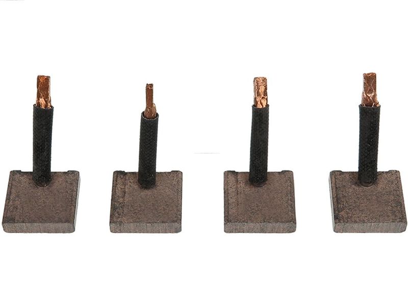 AS-PL SB5019 Carbon Brush, starter