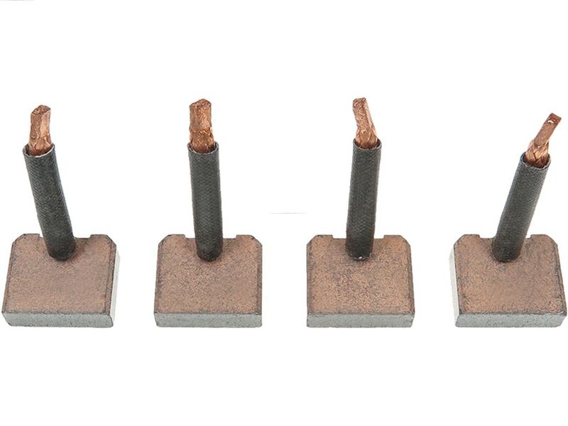 AS-PL SB6006 Carbon Brush, starter