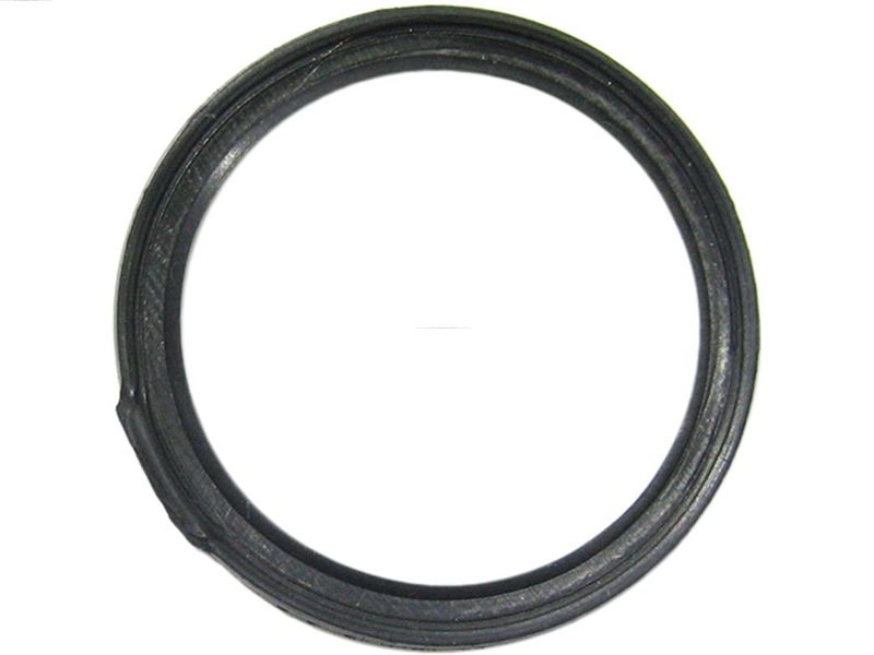AS-PL SDK3004 Repair Set, alternator