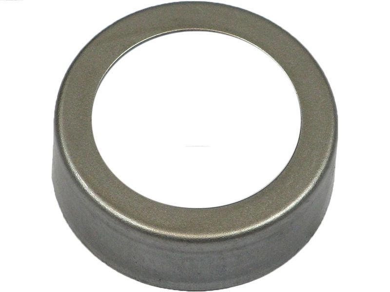 AS-PL SDK4001(BULK) Repair Kit, starter