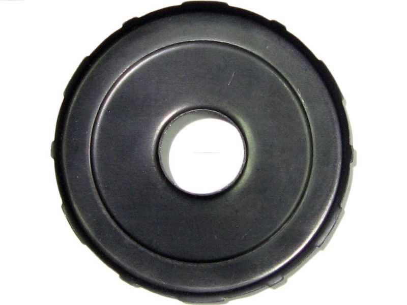 AS-PL SG3019 Repair Kit, starter