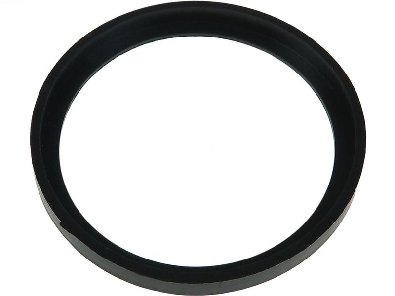AS-PL SGK5006S Repair Kit, starter