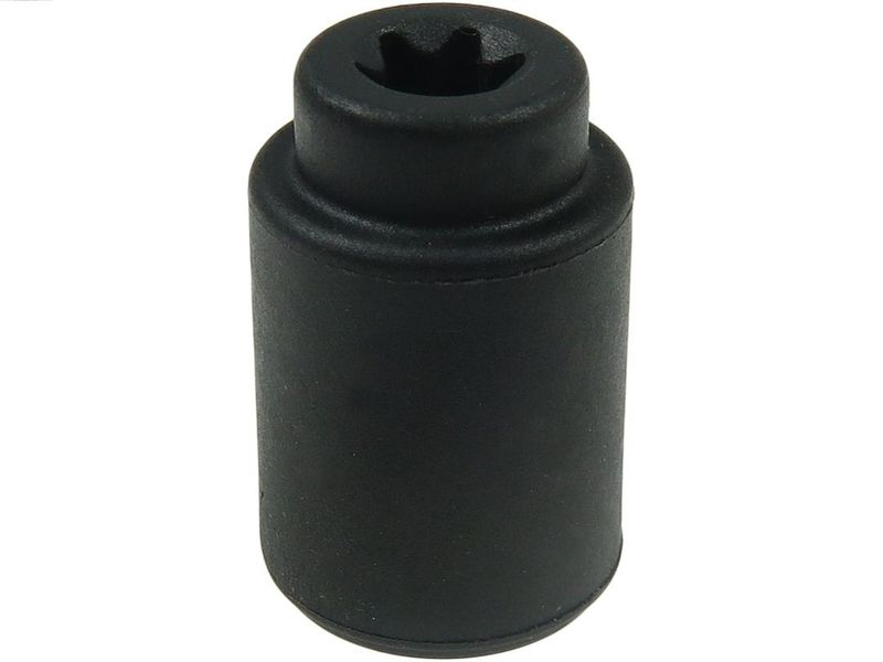 AS-PL SP0055 Repair Set, alternator