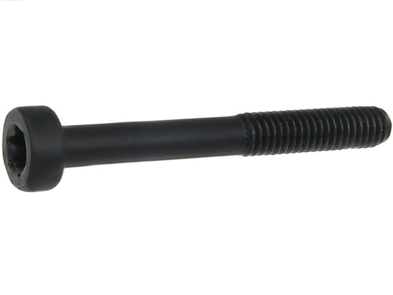 AS-PL SP3010 Repair Set, alternator