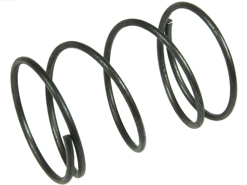 AS-PL SP5009S Repair Kit, starter