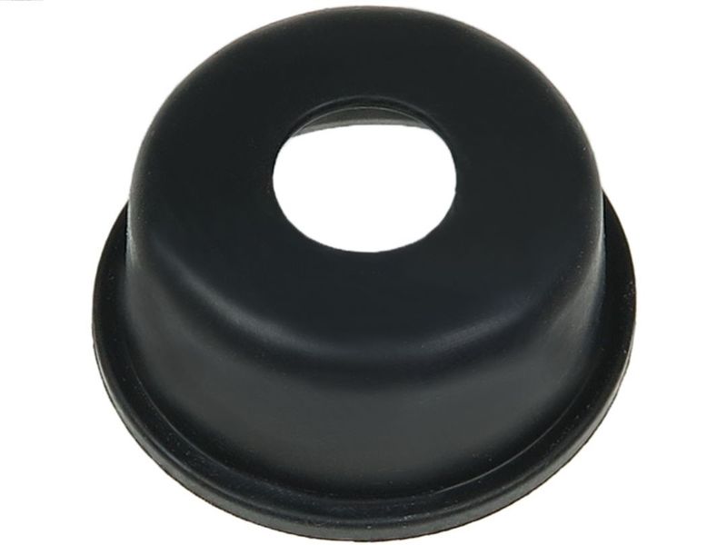 AS-PL SP6048S Repair Kit, starter