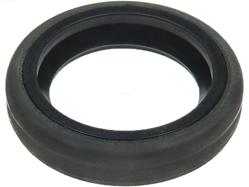 AS-PL SRS0057 Repair Set, alternator