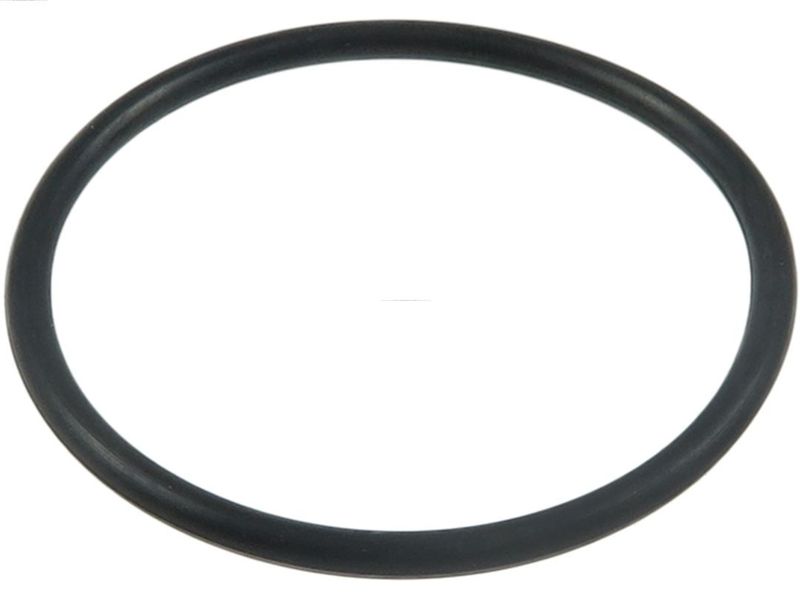 AS-PL SRS0076 Repair Set, alternator