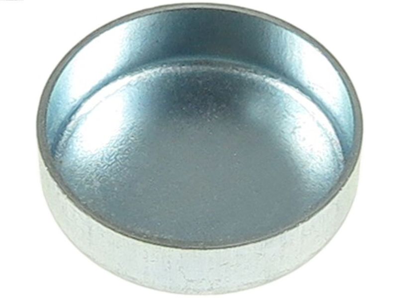 AS-PL SRS0128(BULK) Repair Kit, starter