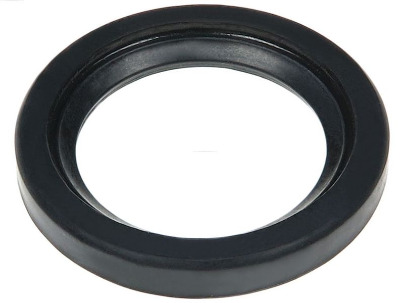 AS-PL SRS0197S Repair Set, alternator
