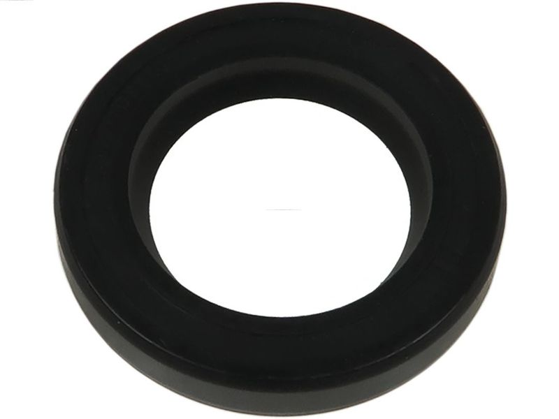 AS-PL SRS0236S Repair Set, alternator