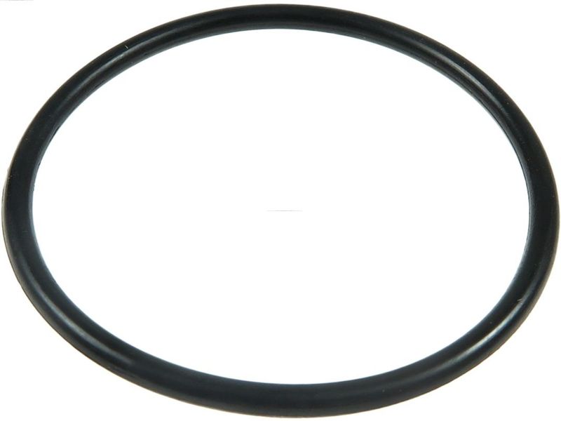 AS-PL SRS1011 Repair Set, alternator