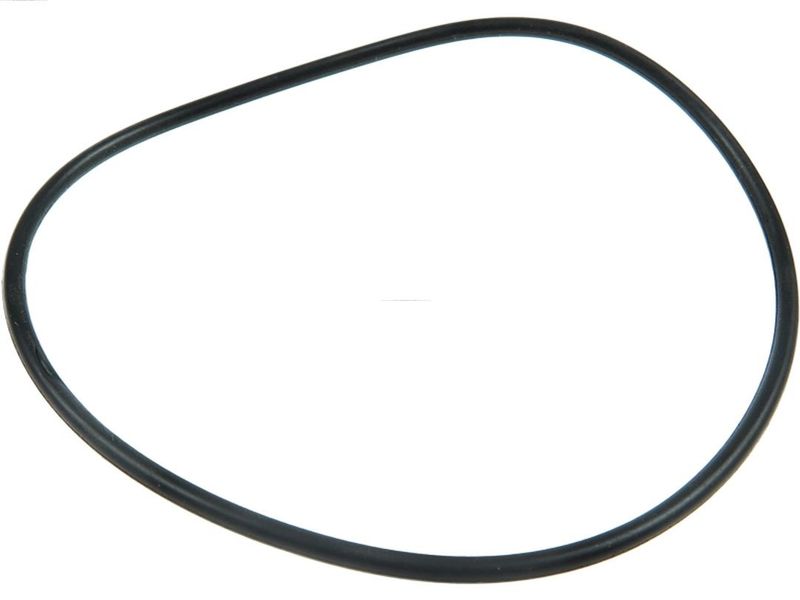 AS-PL SRS1012 Repair Set, alternator