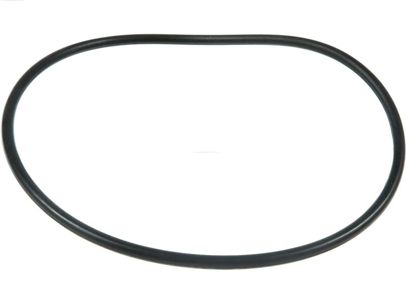 AS-PL SRS1013 Repair Set, alternator