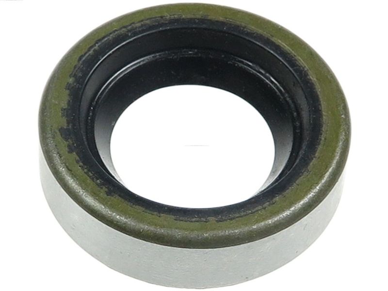 AS-PL SRS1017 Repair Set, alternator