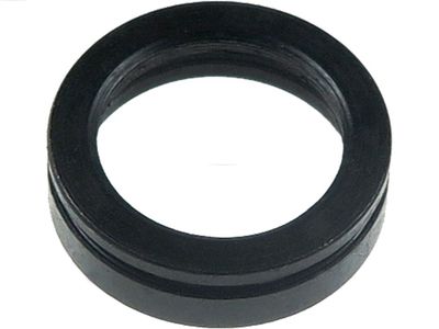 Repair Kit, starter AS-PL SRS3032