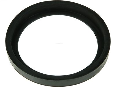 Repair Kit, starter AS-PL SRS5011