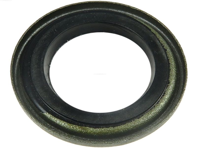 AS-PL SRS5013 Repair Set, alternator