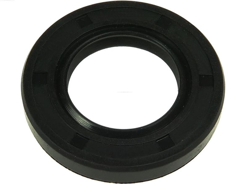 AS-PL SRS5073S Repair Set, alternator