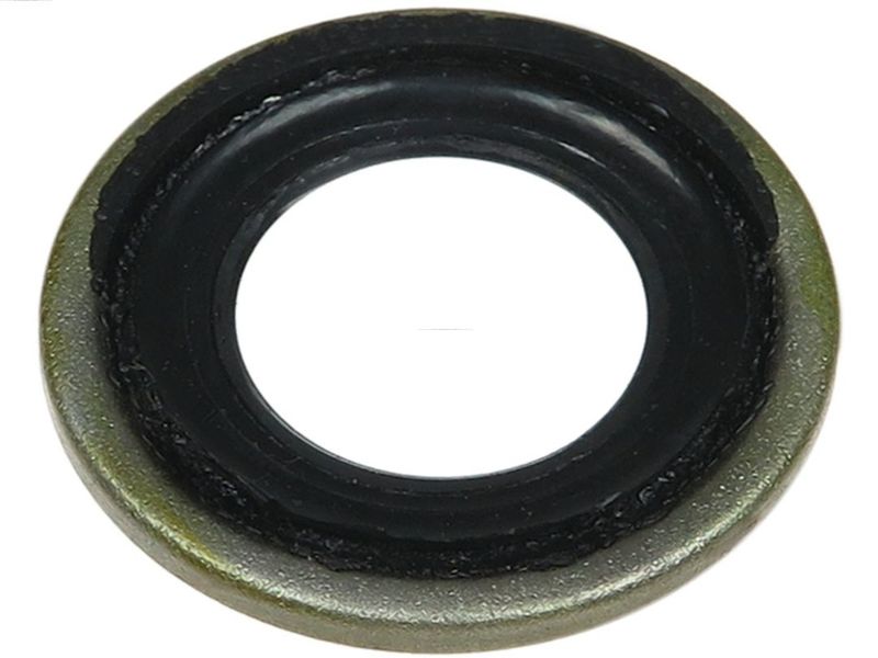 AS-PL SRS5081S Repair Set, alternator