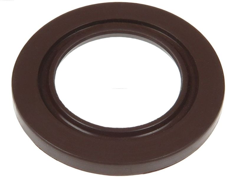 AS-PL SRS6080S Repair Set, alternator